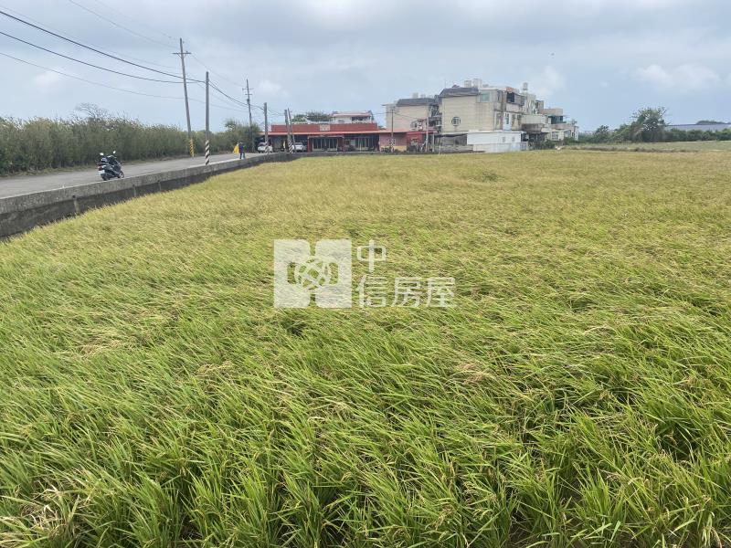 新豐福興國小便宜美農地-專房屋室內格局與周邊環境