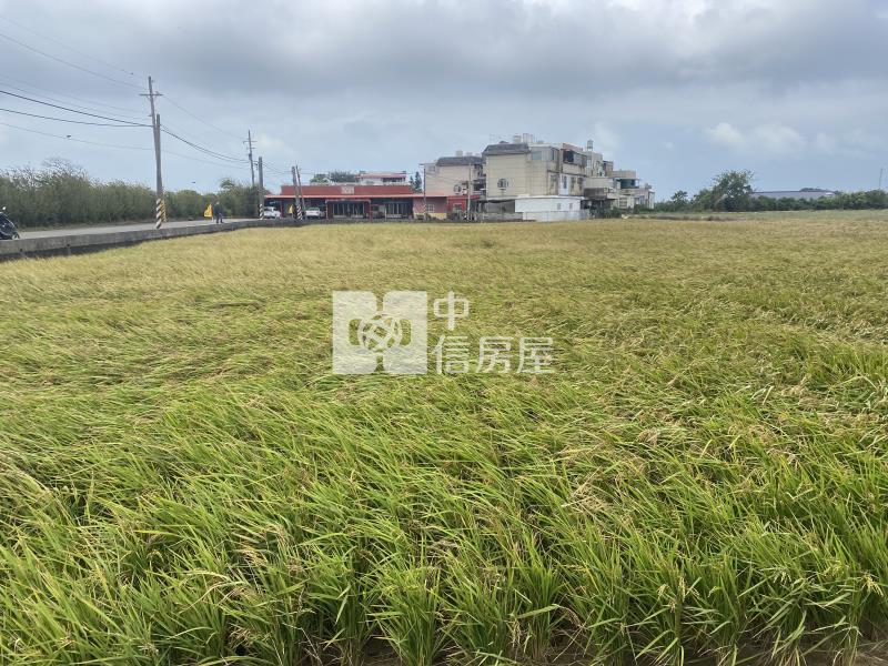 新豐福興國小便宜美農地-專房屋室內格局與周邊環境