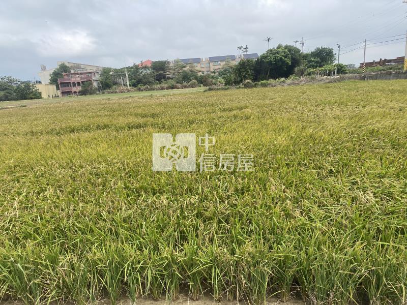 新豐福興國小便宜美農地-專房屋室內格局與周邊環境