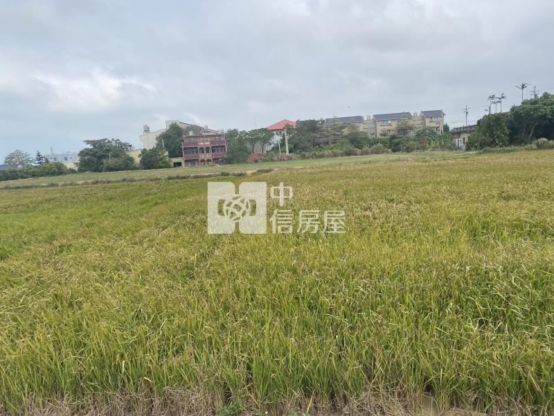 新豐福興國小便宜美農地-專房屋室內格局與周邊環境