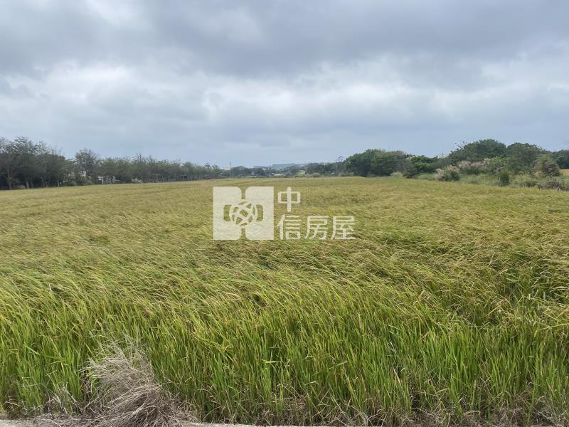 新豐後湖派出所便宜美農地-專房屋室內格局與周邊環境