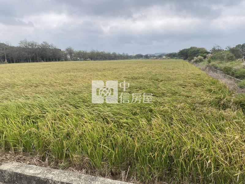 新豐後湖派出所便宜美農地-專房屋室內格局與周邊環境