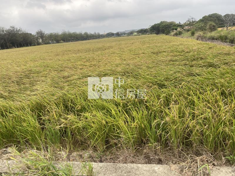 新豐後湖派出所便宜美農地-專房屋室內格局與周邊環境