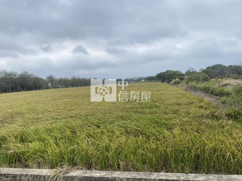 新豐後湖派出所便宜美農地-專房屋室內格局與周邊環境