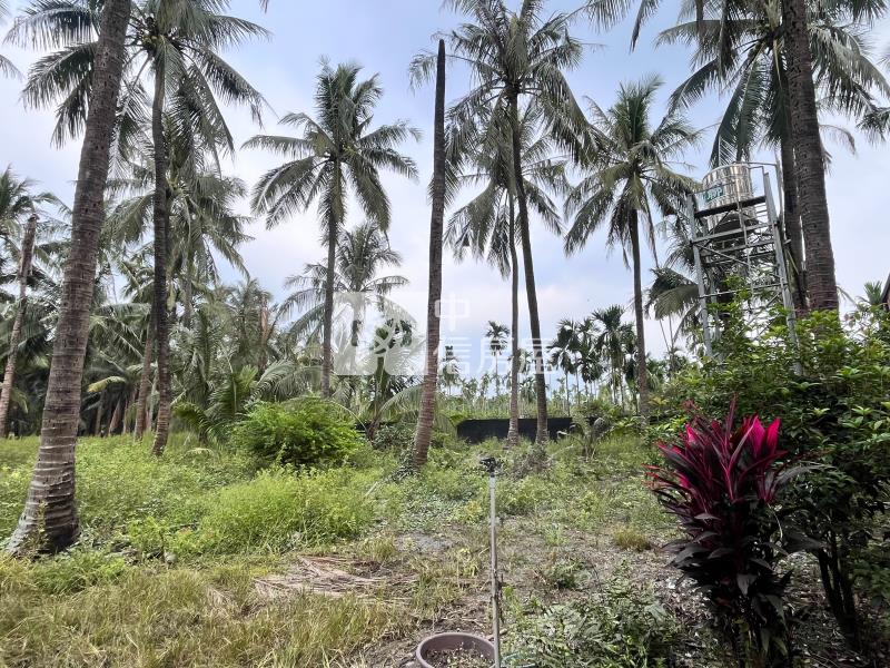 農科便宜小農地房屋室內格局與周邊環境