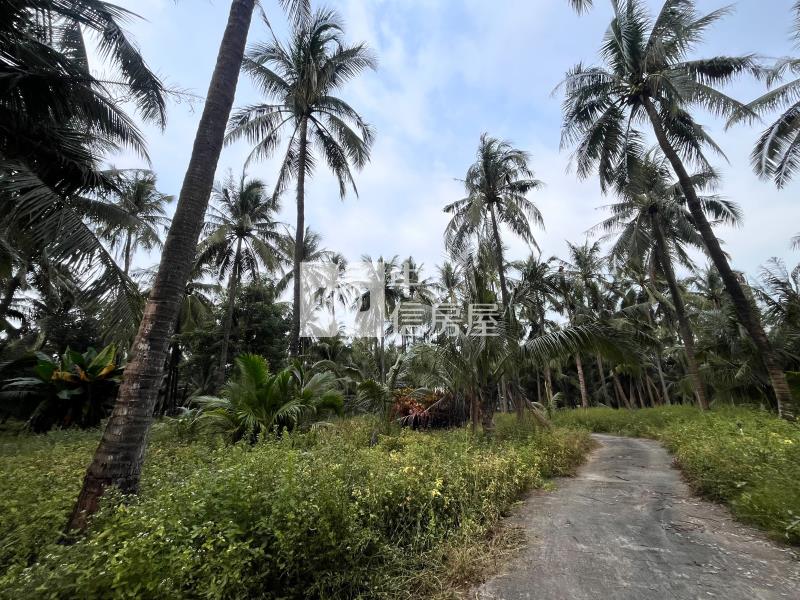 農科便宜小農地房屋室內格局與周邊環境