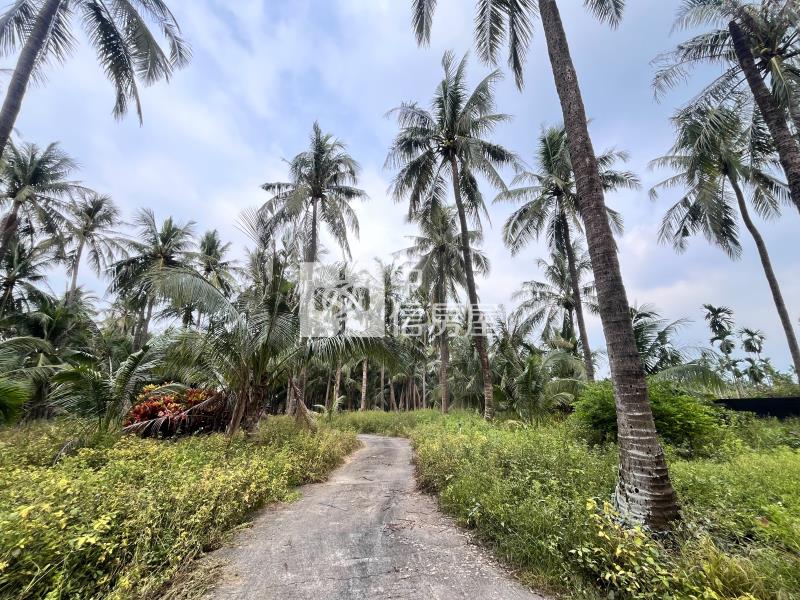 農科便宜小農地房屋室內格局與周邊環境