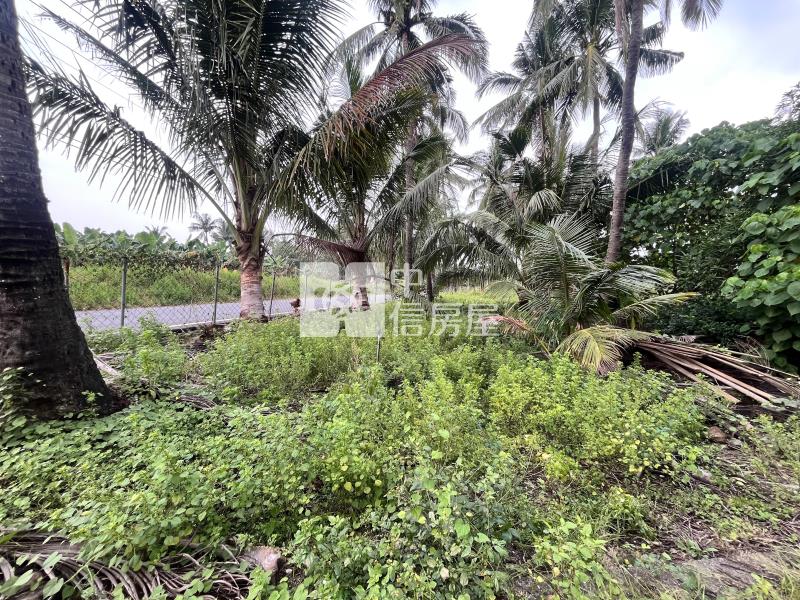 農科便宜小農地房屋室內格局與周邊環境