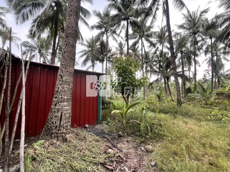 農科便宜小農地房屋室內格局與周邊環境