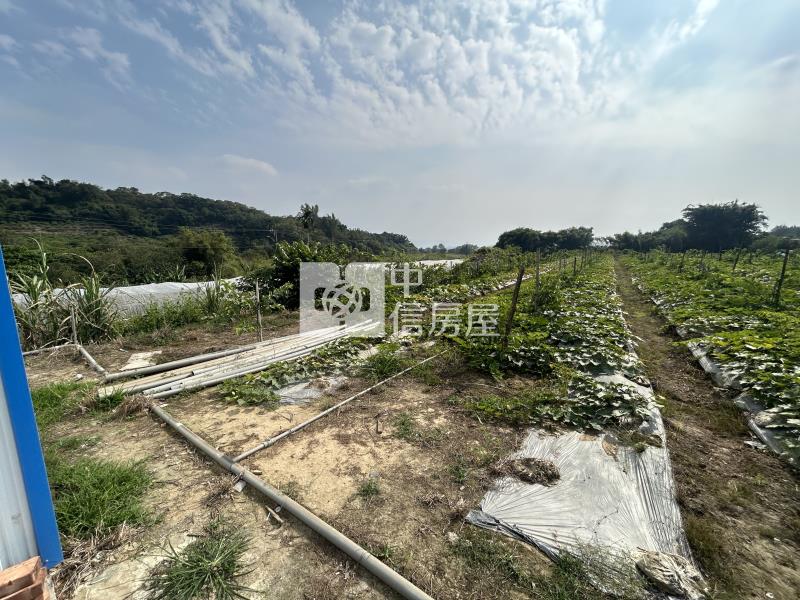 玉井之機會難得之合法資材室+農地房屋室內格局與周邊環境