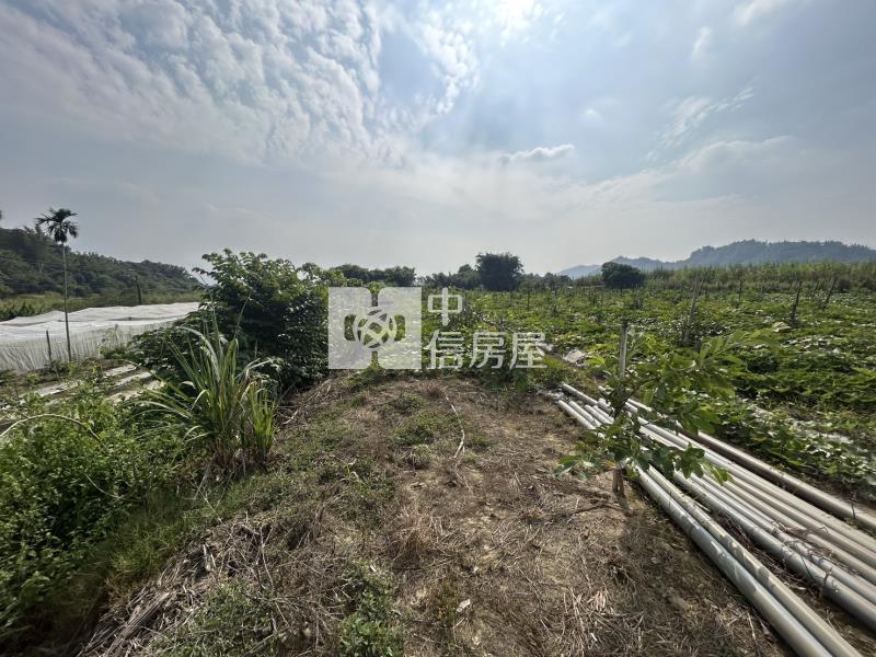 玉井之機會難得之合法資材室+農地房屋室內格局與周邊環境