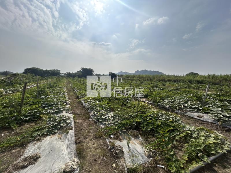 玉井之機會難得之合法資材室+農地房屋室內格局與周邊環境