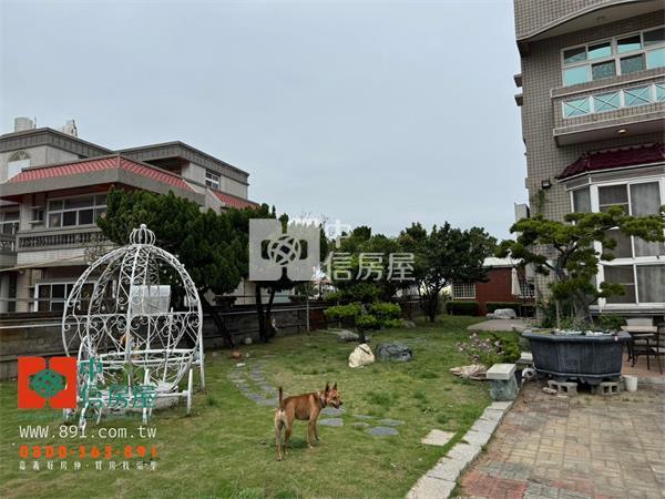 新港雙併合法農舍房屋室內格局與周邊環境