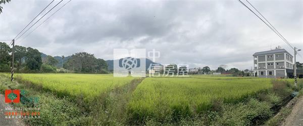 三層頭寮美農地房屋室內格局與周邊環境