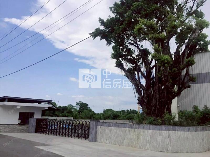 官田輕齡多功能商辦廠房房屋室內格局與周邊環境