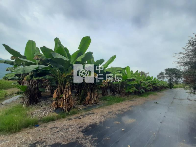 甲仙度假休閒農地房屋室內格局與周邊環境