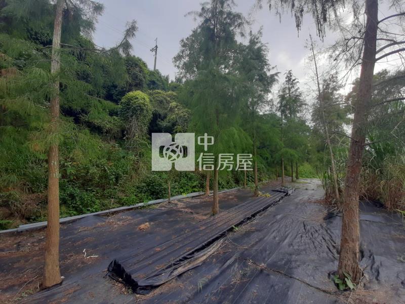 甲仙度假休閒農地房屋室內格局與周邊環境