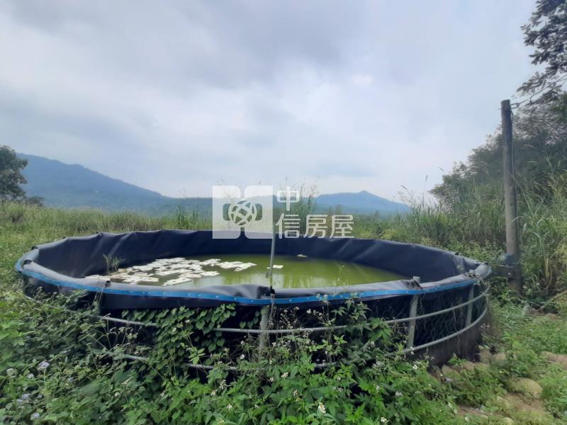 甲仙度假休閒農地房屋室內格局與周邊環境