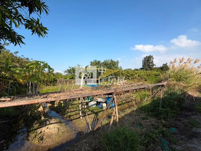 【星鑽】(專委)新竹市區旁方正美農地出價談房屋室內格局與周邊環境