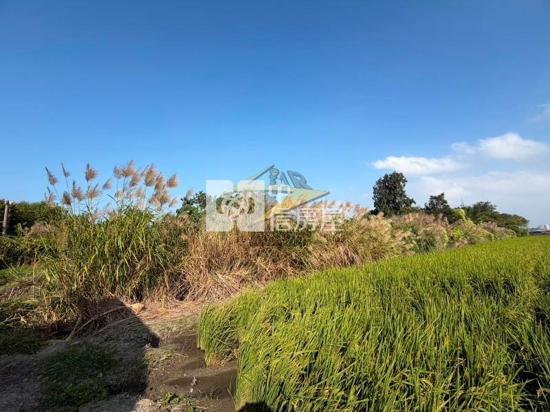 【星鑽】(專委)新竹市區旁方正美農地出價談房屋室內格局與周邊環境