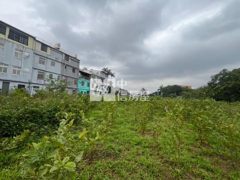龍岡萬坪公園都內農房屋室內格局與周邊環境