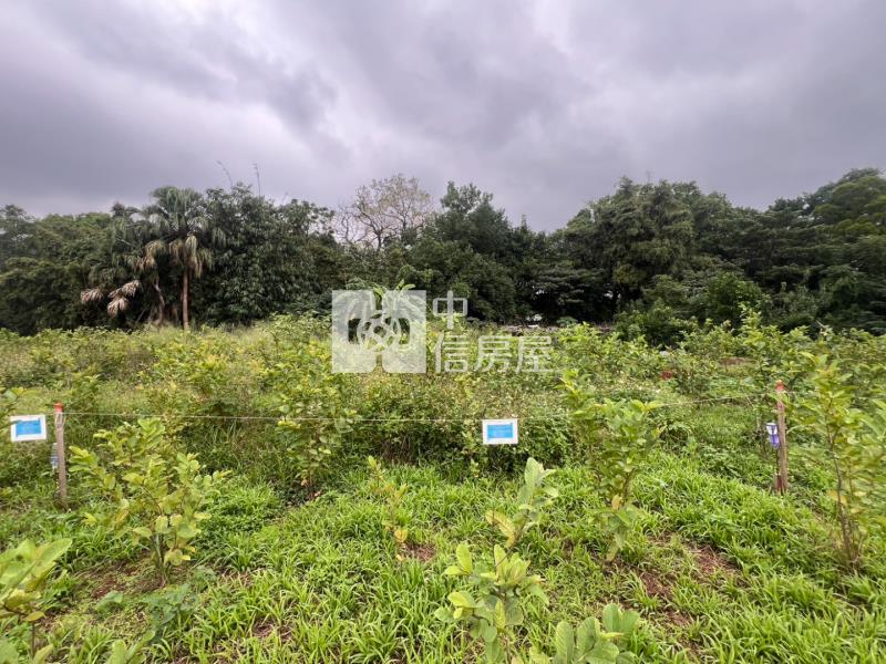 龍岡萬坪公園都內農房屋室內格局與周邊環境