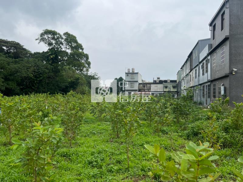 龍岡萬坪公園都內農房屋室內格局與周邊環境