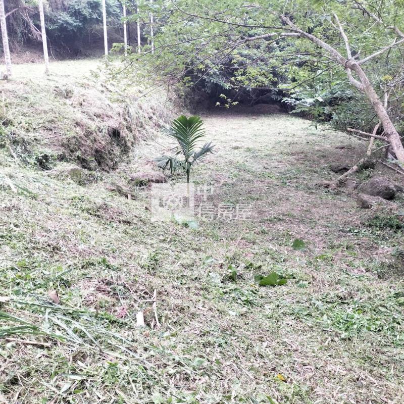 公館臨路便宜美農地房屋室內格局與周邊環境