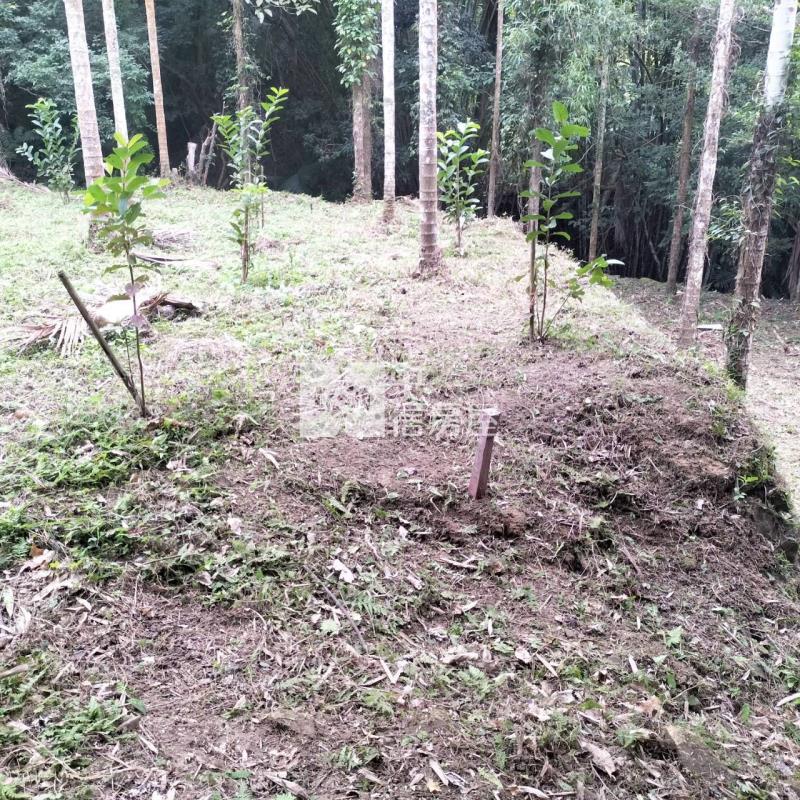 公館臨路便宜美農地房屋室內格局與周邊環境