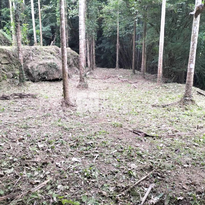 公館臨路便宜美農地房屋室內格局與周邊環境