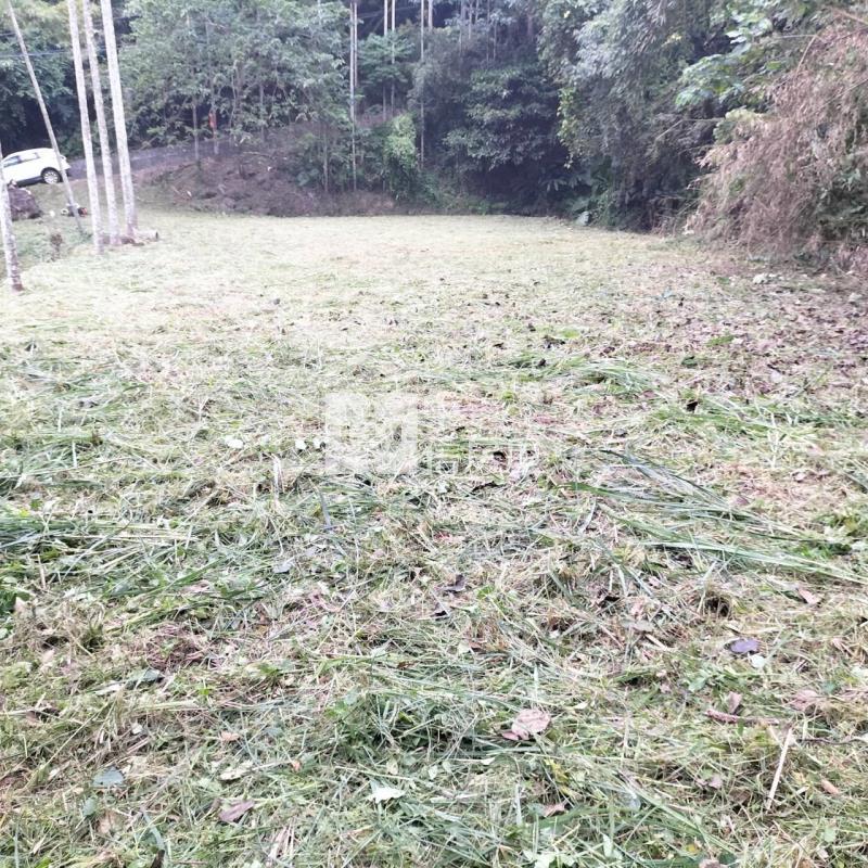 公館臨路便宜美農地房屋室內格局與周邊環境