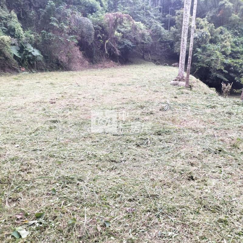 公館臨路便宜美農地房屋室內格局與周邊環境