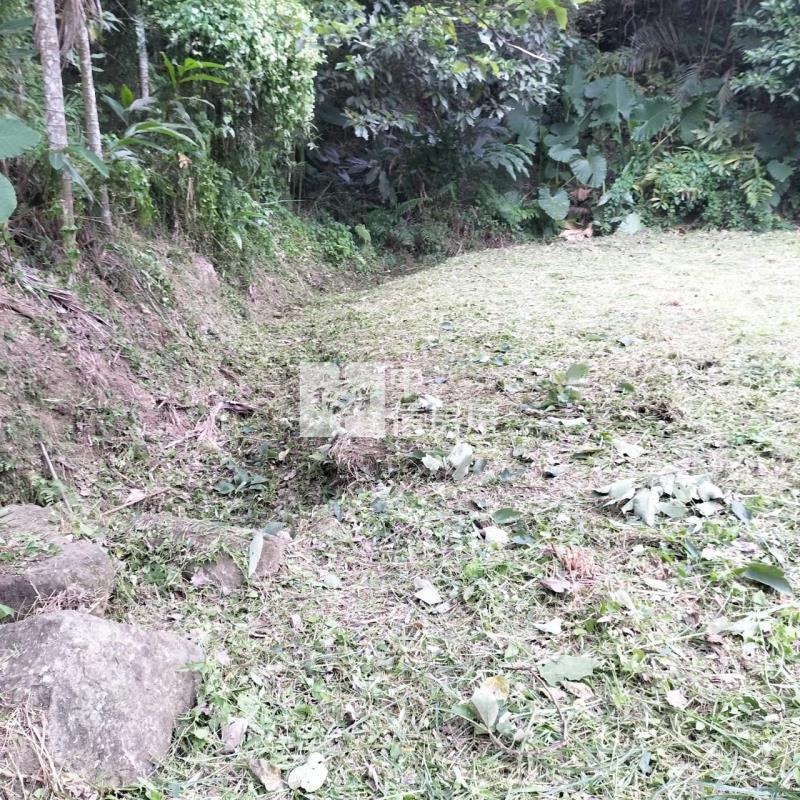 公館臨路便宜美農地房屋室內格局與周邊環境