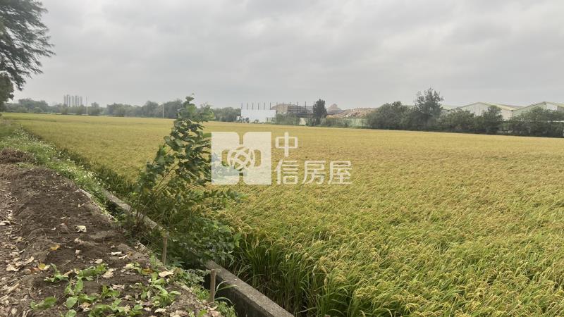 新竹南寮美農地房屋室內格局與周邊環境