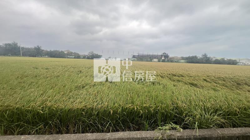 新竹南寮美農地房屋室內格局與周邊環境