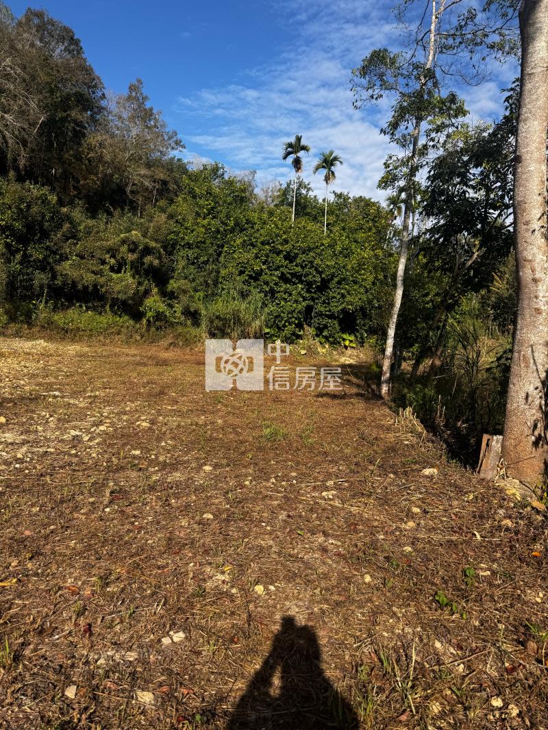 桃米坑農+林房屋室內格局與周邊環境