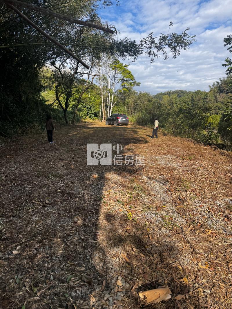 桃米坑農+林房屋室內格局與周邊環境