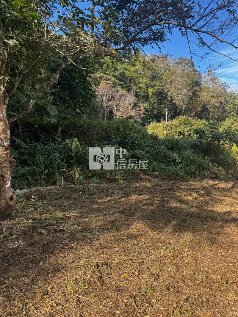 桃米坑農+林房屋室內格局與周邊環境