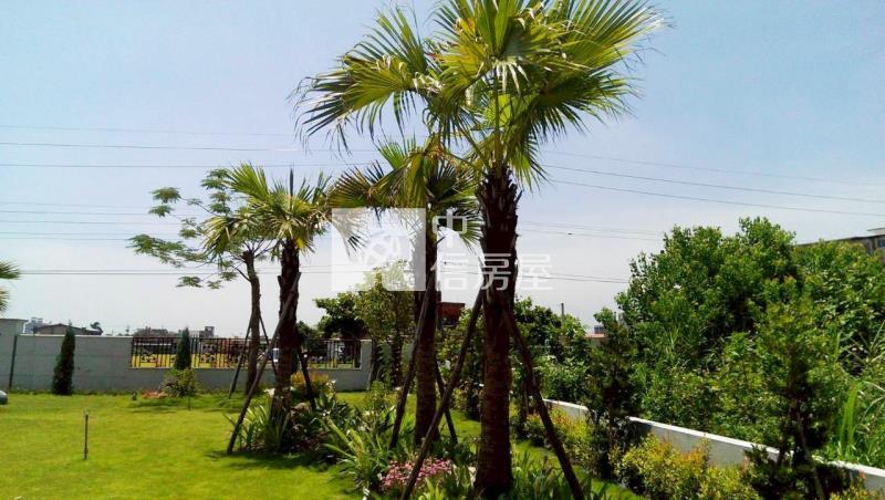 E005 冬山豪華莊園房屋室內格局與周邊環境