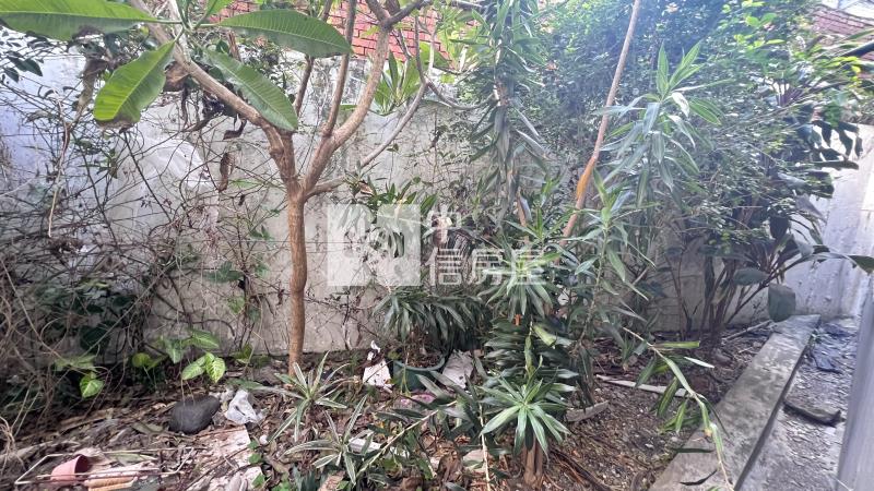 【安家】蘆竹區智海街美透天房屋室內格局與周邊環境