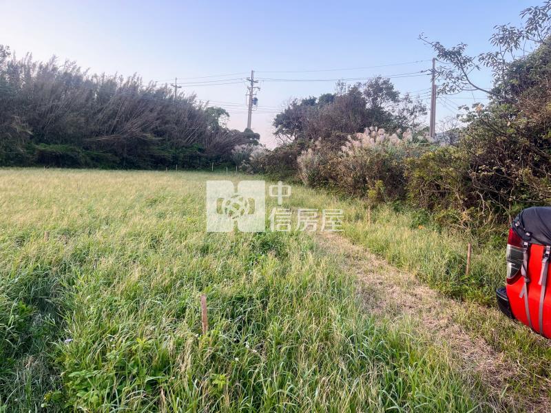 桃園觀音富林段農地房屋室內格局與周邊環境