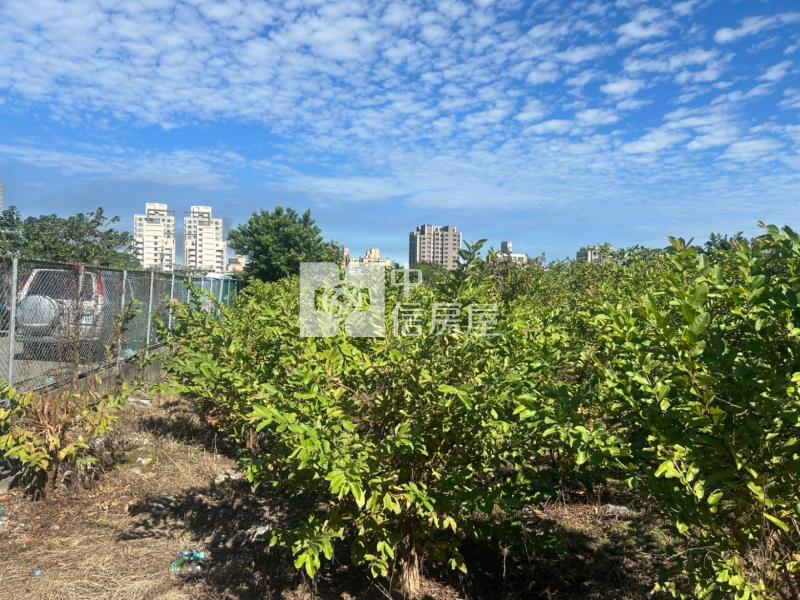 晉元路旁 都計內農地房屋室內格局與周邊環境