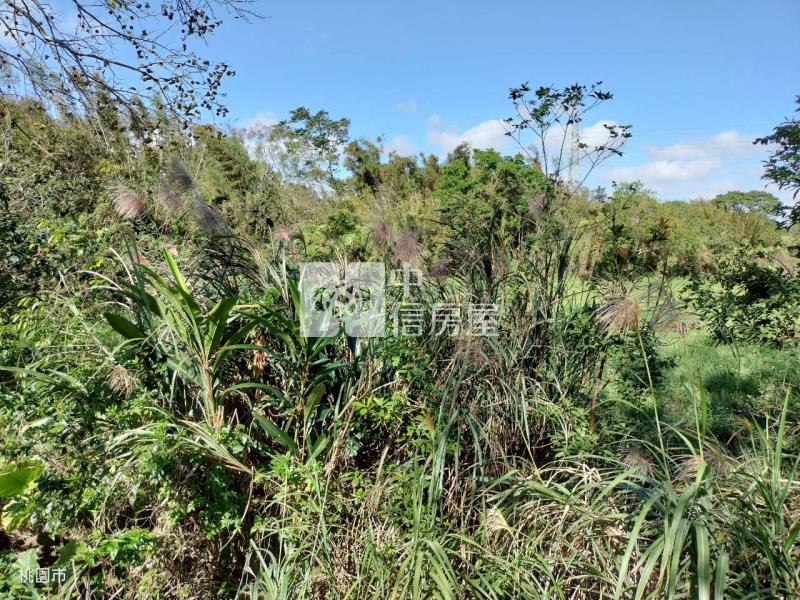 牡丹原保便宜農地房屋室內格局與周邊環境