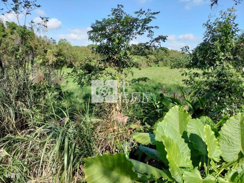 牡丹原保便宜農地房屋室內格局與周邊環境