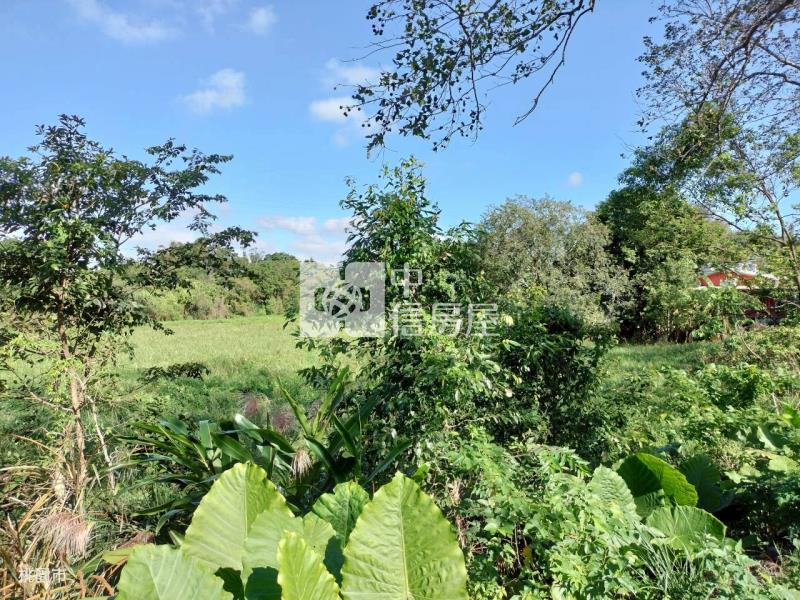 牡丹原保便宜農地房屋室內格局與周邊環境