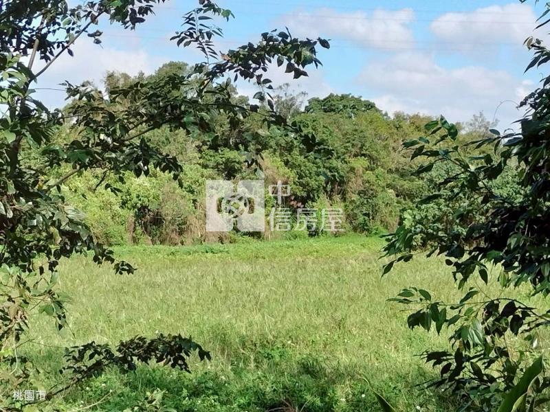 牡丹原保便宜農地房屋室內格局與周邊環境