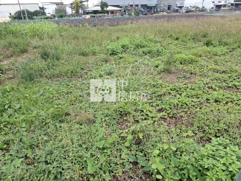 鳥松國中都計內農地(2)房屋室內格局與周邊環境