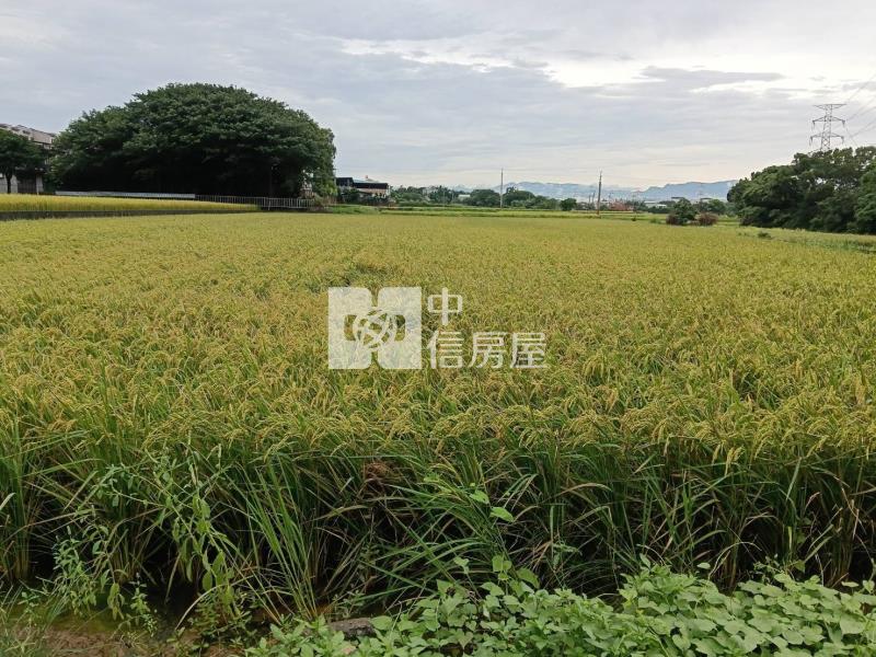 新屋中山西路農地房屋室內格局與周邊環境