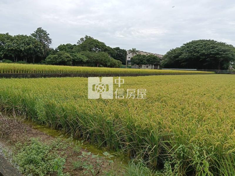 新屋中山西路農地房屋室內格局與周邊環境