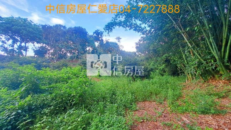 快官國小農地房屋室內格局與周邊環境